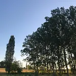 Bed & Breakfast Poitevins - 5-bedroom Near Duras 3*