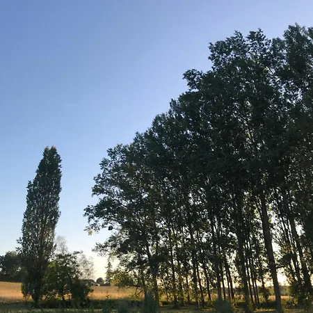 Bed & Breakfast Poitevins - 5-bedroom Near Duras 3*